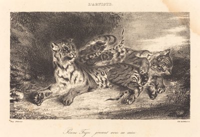 Jeune tigre jouant avec sa mère - Eugène Delacroix