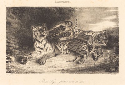 Jeune tigre jouant avec sa mère - Eugène Delacroix