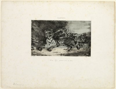 Jeune Tigre Jouant avec sa Mère - Eugène Delacroix