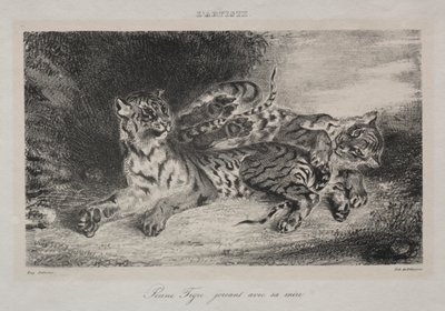 Jeune tigre jouant avec sa mère - Eugène Delacroix