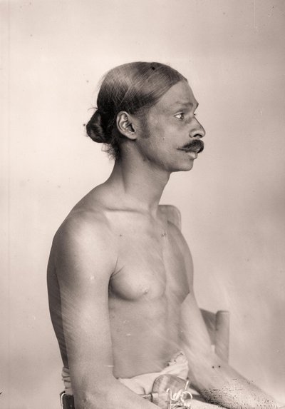 Portrait d