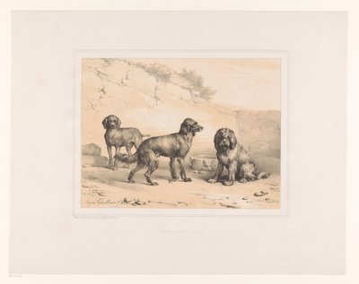 Trois chiens - Eugène Verboeckhoven