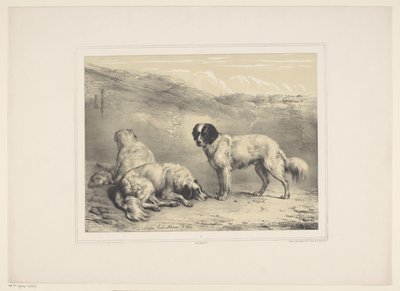 Trois chiens - Eugène Verboeckhoven