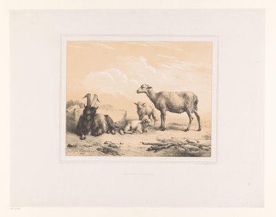 Chèvre, mouton et deux agneaux - Eugène Verboeckhoven