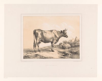 Vache et mouton dans un paysage - Eugène Verboeckhoven