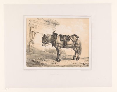 Cheval avec selle et licou (Études d