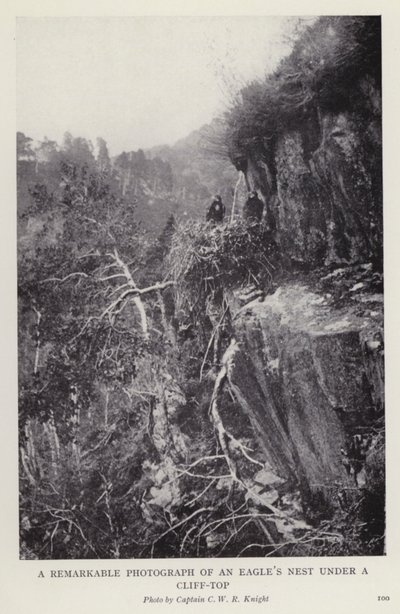 Photographie remarquable d
