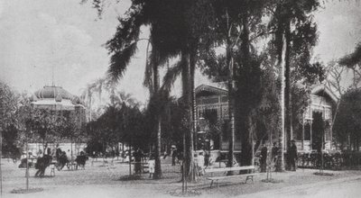 Brésil : San Paolo, Jardim da Luz (photo n/b) - European Photographer