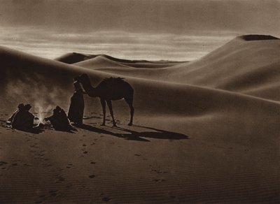 Soirée dans le désert - European Photographer