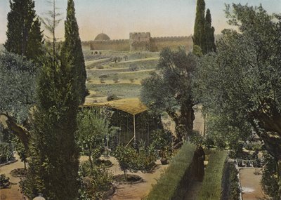 Jardin de Gethsémani - European Photographer