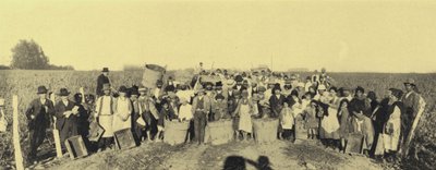 Vendange dans les vignobles de Vina Lontue, Santiago, Chili - European Photographer