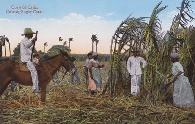 La Havane, Cuba : Coupe de la Canne à Sucre - European Photographer