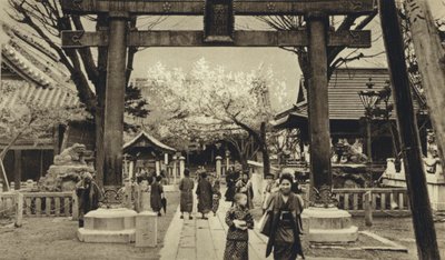 Japon, rue à Tokyo, période des cerisiers en fleurs - European Photographer