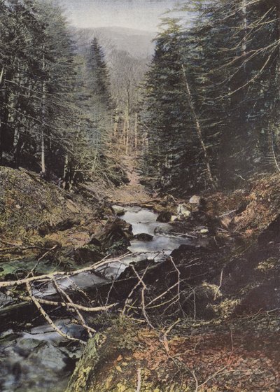 Luchon, Haute Vallée de la Pique - European Photographer