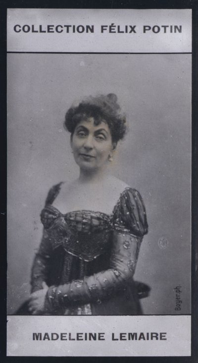 Madeleine Lemaire (1845) - European Photographer