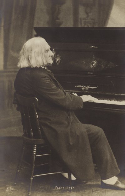 Portrait de Franz Liszt - European Photographer