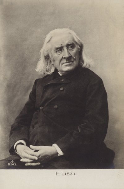 Portrait de Franz Liszt - European Photographer
