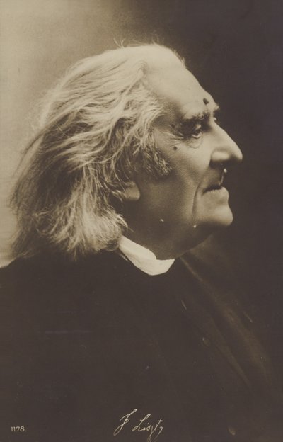 Portrait de Franz Liszt - European Photographer