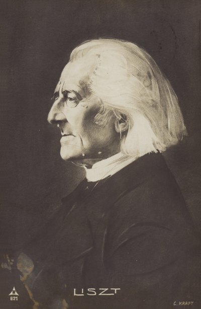 Portrait de Franz Liszt - European Photographer