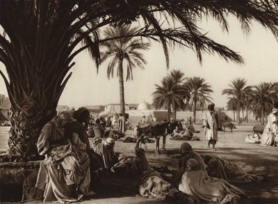 Oasis de Touggourt - European Photographer