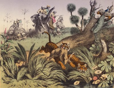 Chasse dans la jungle indienne - European School