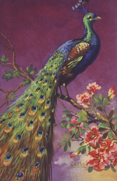 Un paon assis dans un arbre avec des fleurs - European School