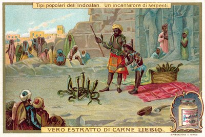 Un charmeur de serpents (chromolithographie) - European School