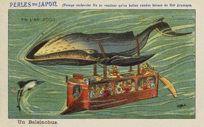 Un bus baleine en l