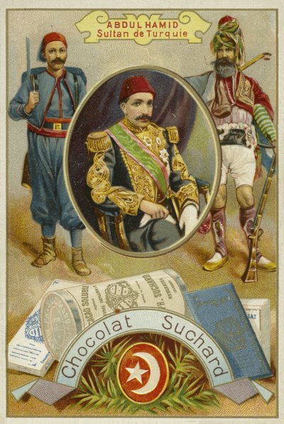 Abdul Hamid II, Sultan de l