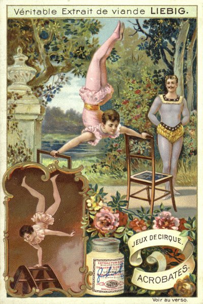 Acrobates - European School