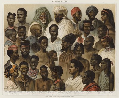 Races africaines - European School