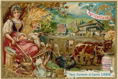 Agriculture - European School