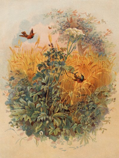 "Et certains tombèrent parmi les épines" - European School