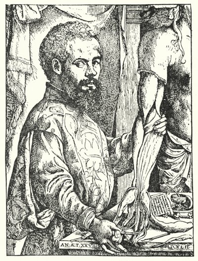 Andreas Vesalius - European School