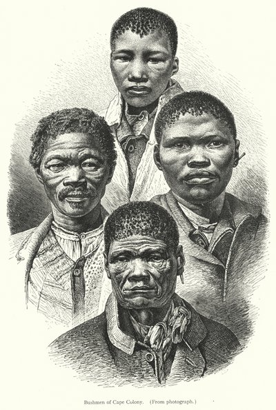 Bushmen du Cap - European School