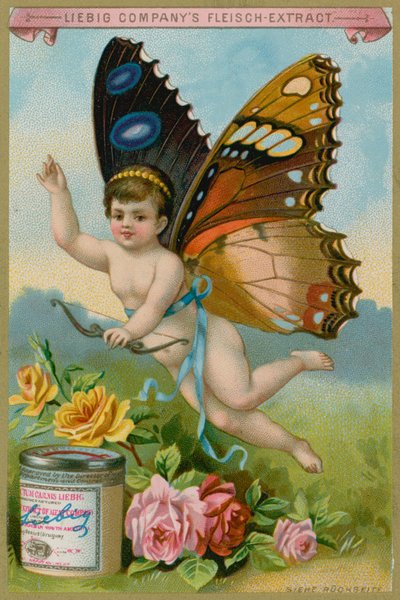 Chérubin Papillon avec des Roses - European School