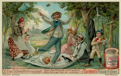 Chasse aux Papillons et Pique-nique - European School