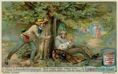 Chasse aux Papillons et Dormeur - European School