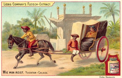 Caleza au Yucatan - European School