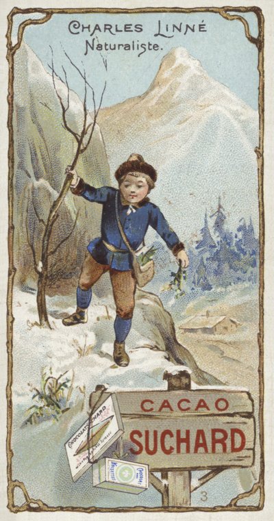 Carl von Linné, botaniste et zoologiste suédois, enfant - European School