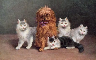 Carte postale de chat (lithographie couleur) - European School