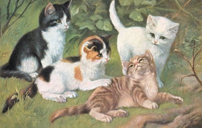 Carte postale de chat (lithographie couleur) - European School