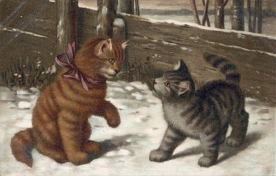 Carte postale de chat (lithographie couleur) - European School