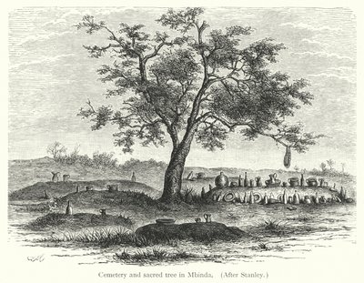 Cimetière et arbre sacré à Mbinda - European School