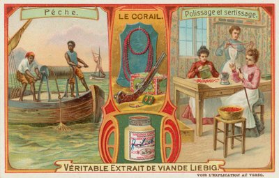 Corail - European School