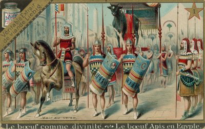 Vaches dans l
