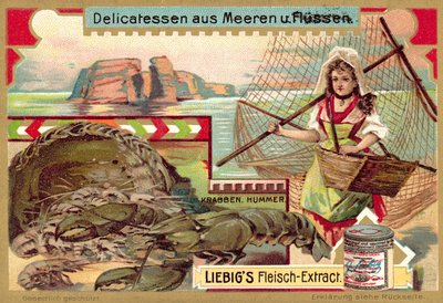 Crabe et homard (chromolithographie) - European School