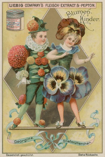 Dahlia et Pensée - European School