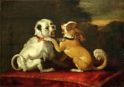 Chiens en Train de Jouer - European School