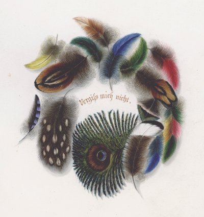 Plumes (lithographie en couleur) - European School